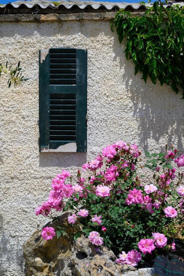 Harmony Corfu Apartments & Studios Eksteriør bilde